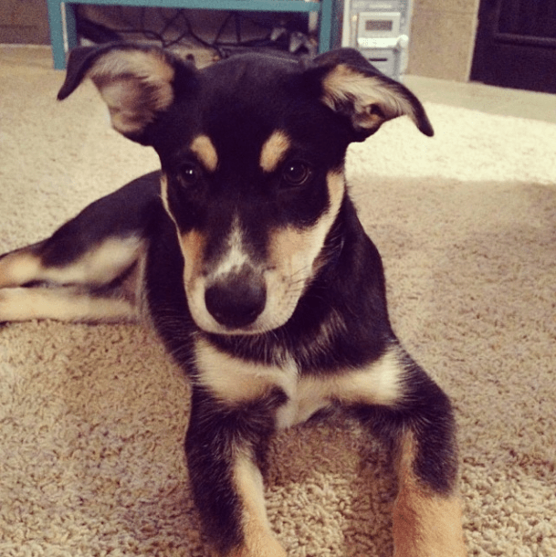 Screen Shot 2014-01-22 at 3.45.27 PM